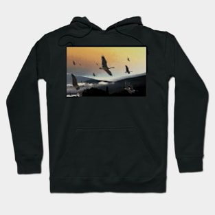 Going south Hoodie